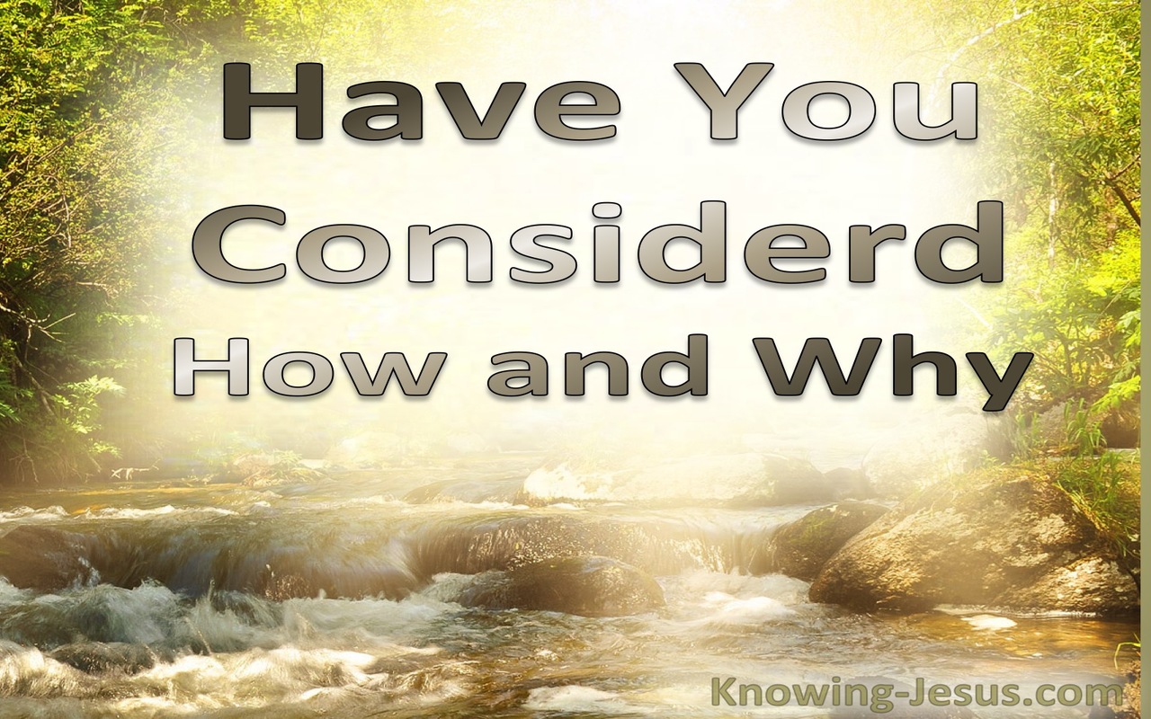 Have You Considered How and Why (devotional)02-04 (brown)